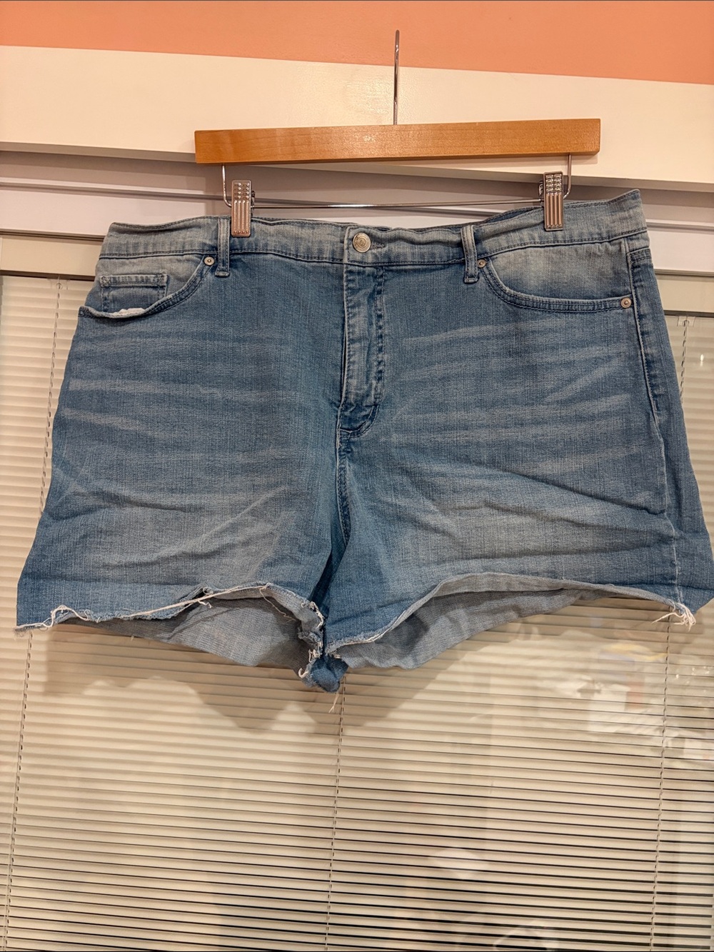 Blue Light Wash Jean Shorts Size 20